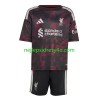 Fotbalový Dres Liverpool Dětské Alternativní 2026/27